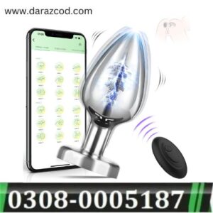 portable-remote-control-butt-toy-anales-plug